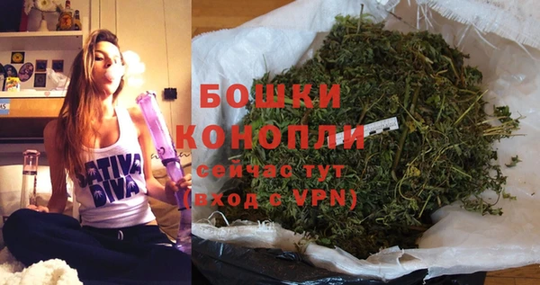 apvp Белокуриха