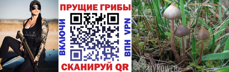 Галлюциногенные грибы ЛСД  маркетплейс Telegram  Дагестанские Огни 